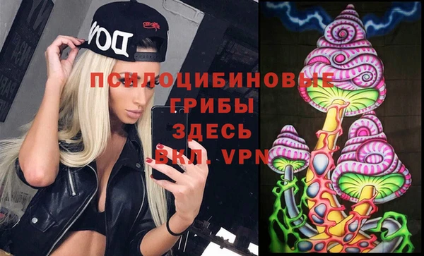 дживик Покачи