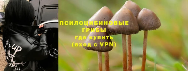 таблы Пестово