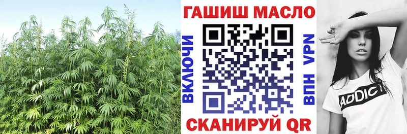Дистиллят ТГК THC oil купить закладку hydra сайт Ахтубинск