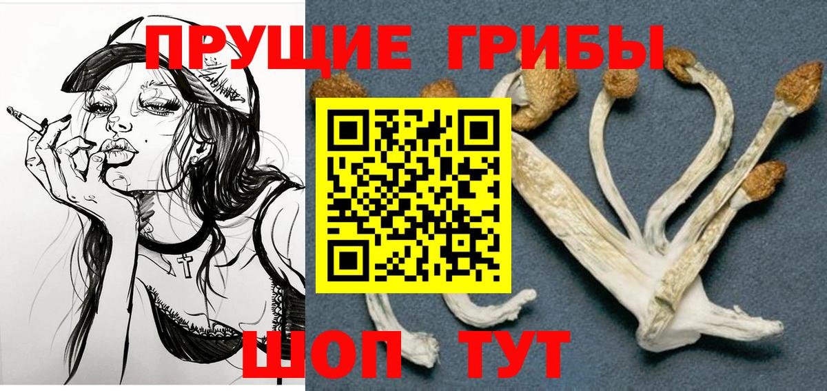 Псилоцибиновые грибы прущие грибы  Галлюциногенные грибы Psilocybe  Ахтубинск  Вход с VPN 