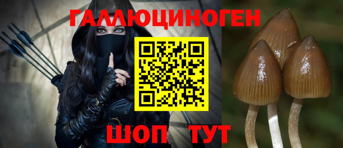 Псилоцибиновые грибы ЛСД Ахтубинск