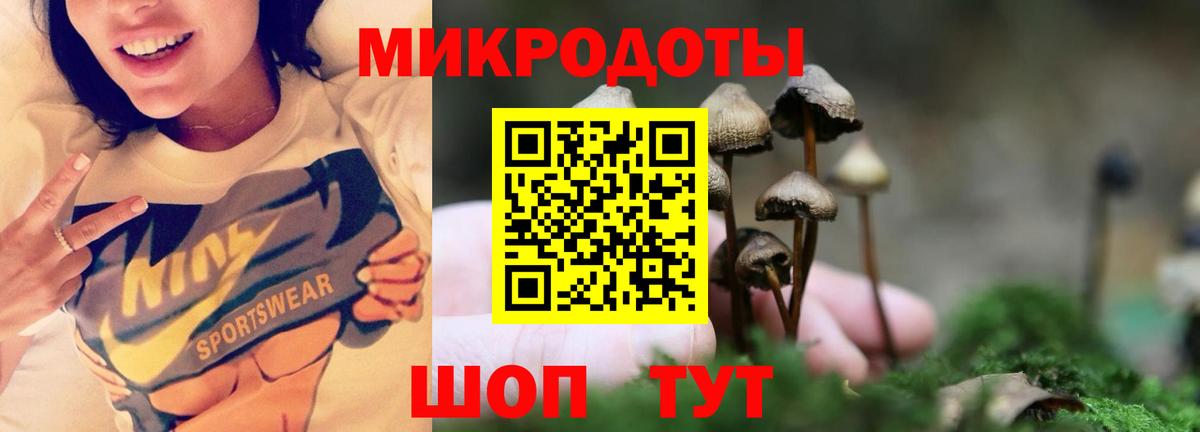 Галлюциногенные грибы мухоморы  Ахтубинск 