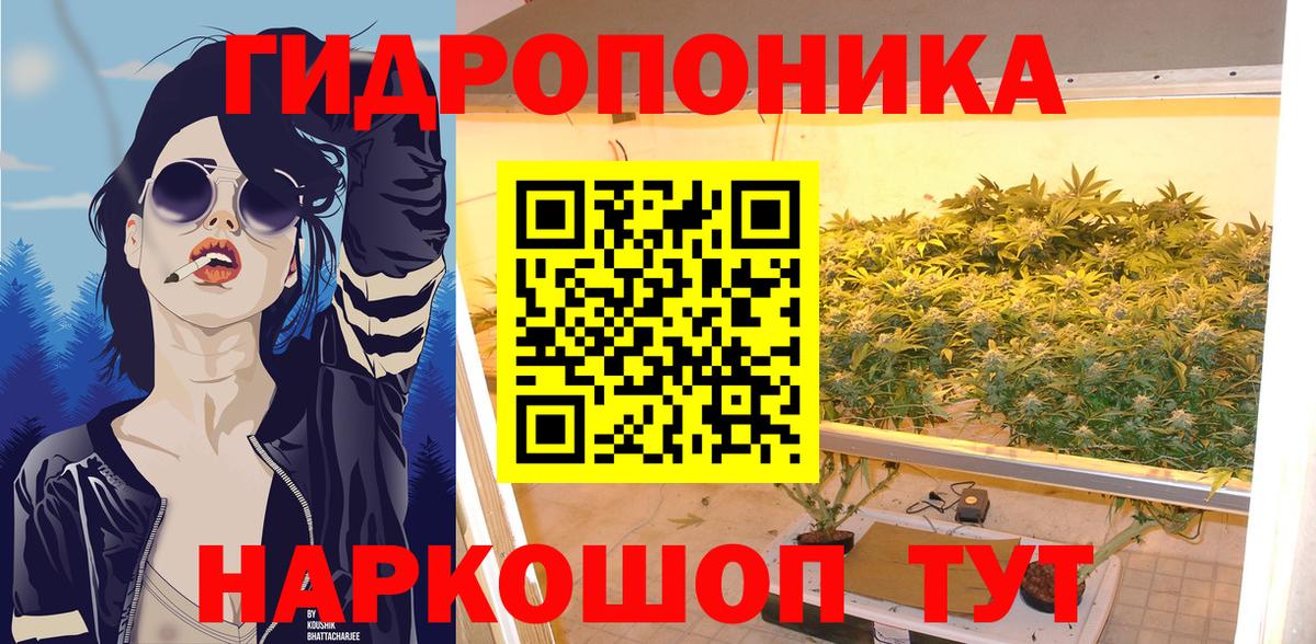 Марихуана конопля  Марихуана сатива  Ахтубинск  МАРИХУАНА SATIVA & INDICA  Вход с VPN 