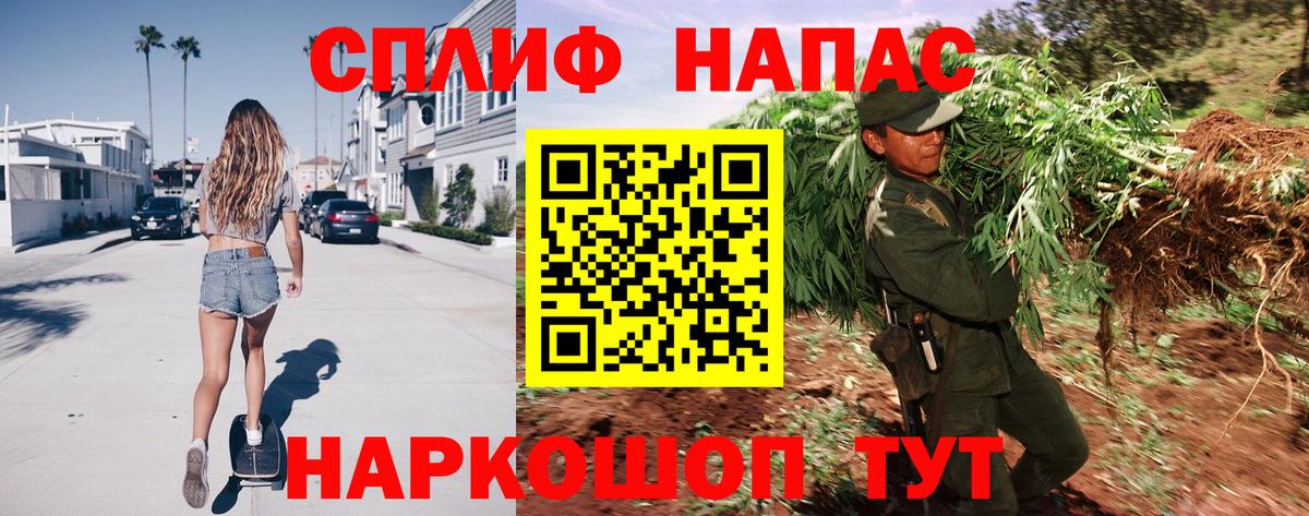 Бошки Шишки White Widow  Шишки марихуана конопля  Конопля AK-47  МАРИХУАНА THC 21%  Ахтубинск 